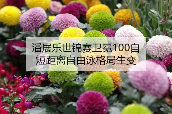 潘展乐世锦赛卫冕100自 短距离自由泳格局生变