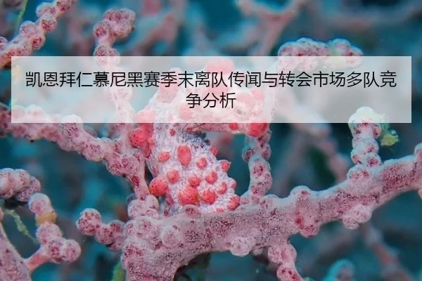 凯恩拜仁慕尼黑赛季末离队传闻与转会市场多队竞争分析